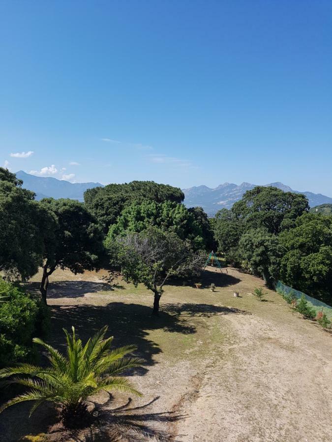 Casa Prescilia * Lumio (Corsica)
